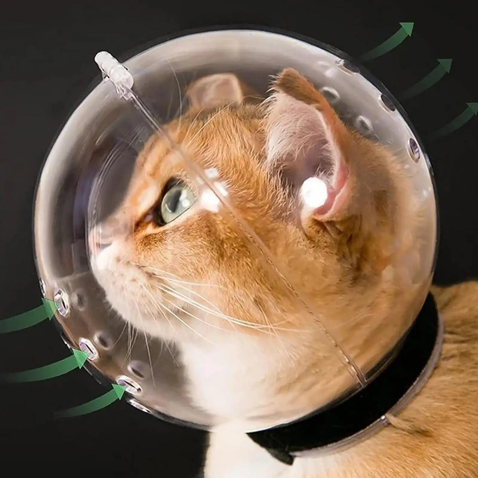 Cat Head Cover Anti-Biting Transparent Cat Hood Breathable Cat Bubble Muzzle for Pets Bathing Shedding Nail Trimming Behavior