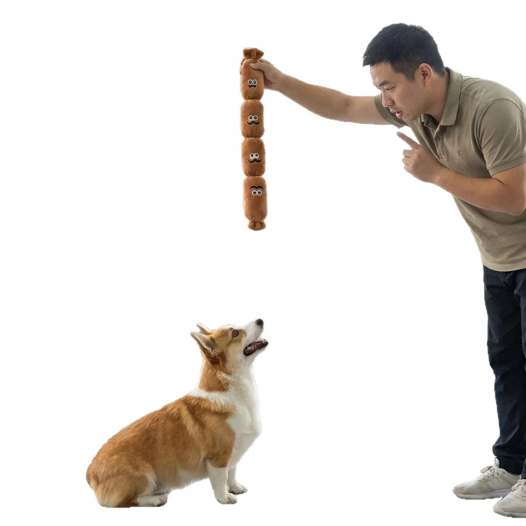 1Pc Dog Plush Chew Toy Teeth Cleaning Simulated Sausage Squeak with BB Sound Durable Puppy Toy Bite-Resistant Molar Dog Supplies